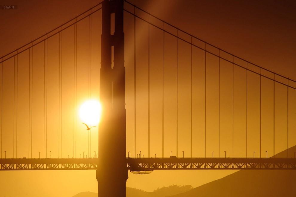 Фотография: Город солнца. Сан-Франциско №38 - BigPicture.ru