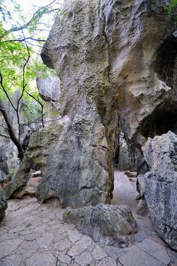 Фотография: Чудеса света: каменный лес Шилинь в Китае №9 - BigPicture.ru