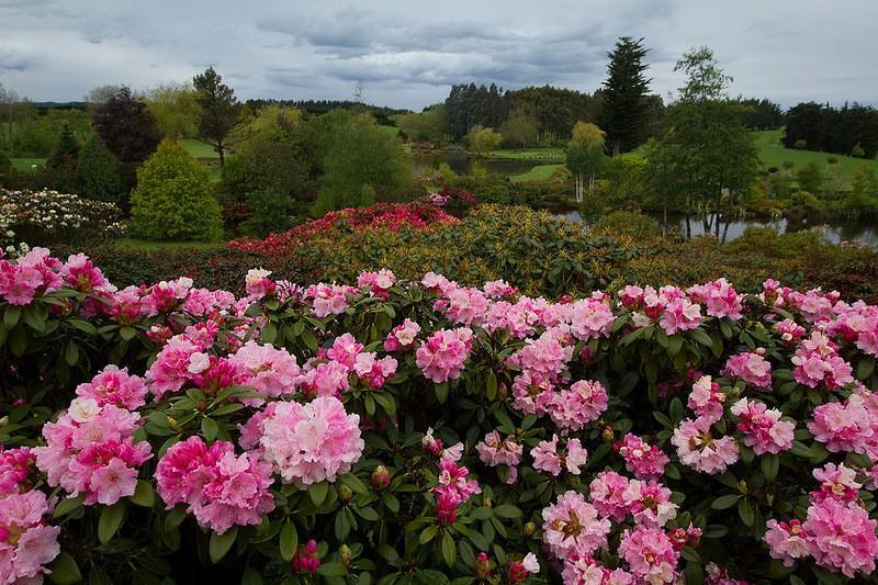 Фотография: Восхитительный сад Maple Glen в Новой Зеландии №5 - BigPicture.ru