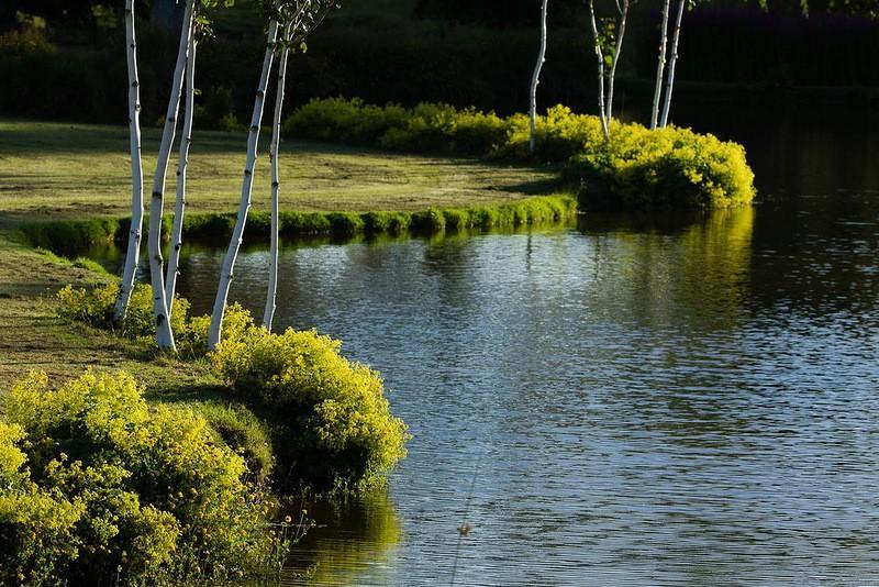Фотография: Восхитительный сад Maple Glen в Новой Зеландии №8 - BigPicture.ru