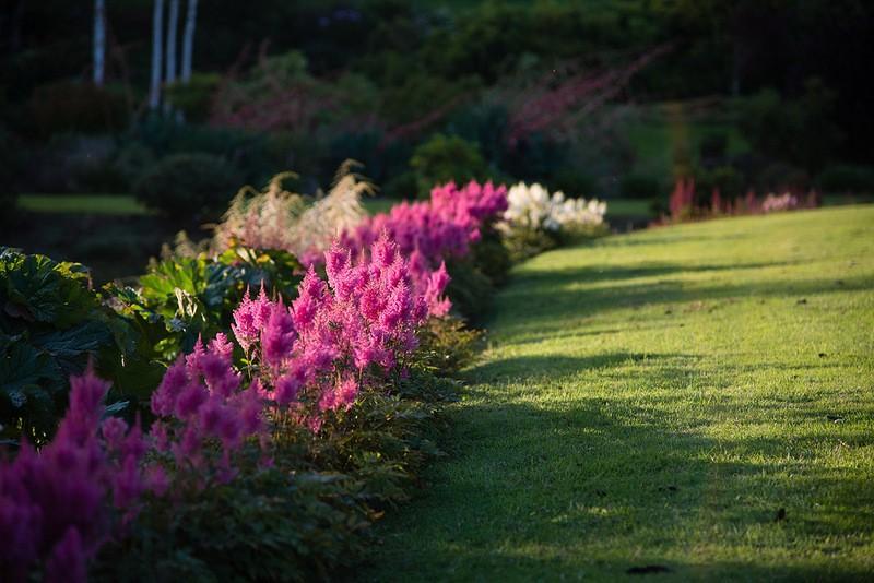 Фотография: Восхитительный сад Maple Glen в Новой Зеландии №12 - BigPicture.ru