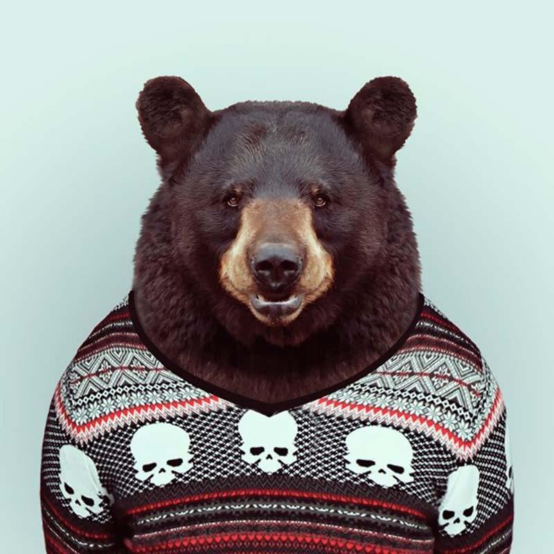 Фотография: Животинки в одежках №9 - BigPicture.ru