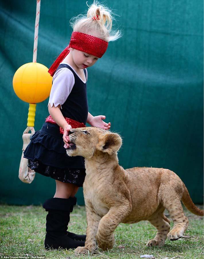 Фотография: Маленький циркач и его питомец - львенок Цимби №8 - BigPicture.ru