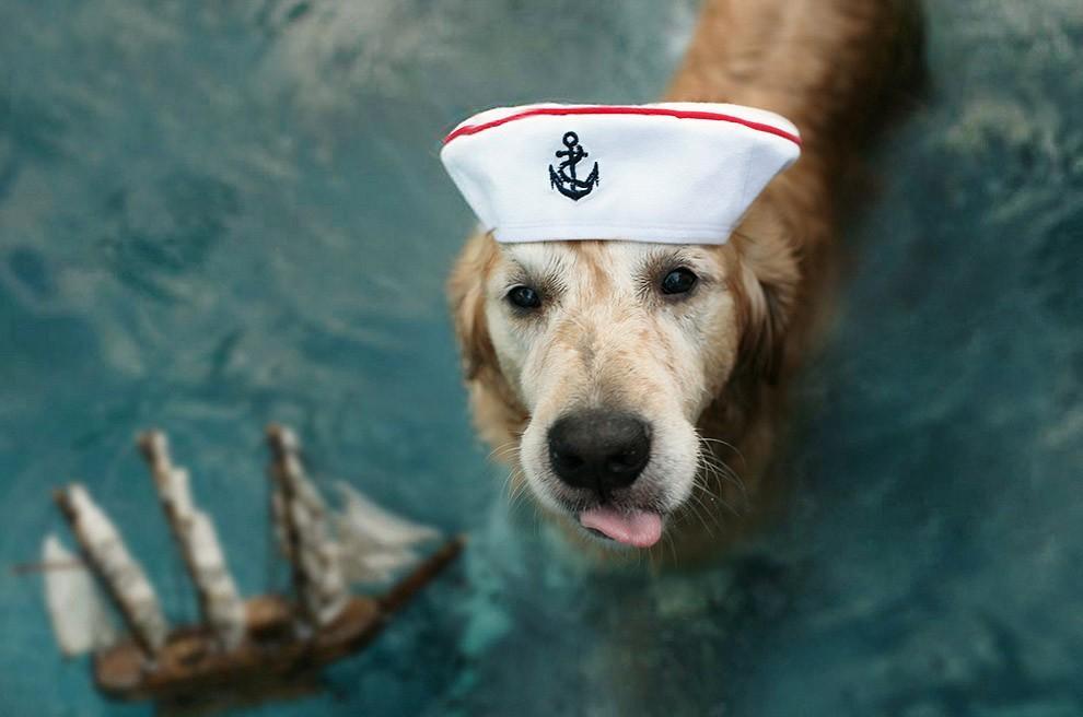Фотография: Чэмп - самый счастливый пес в мире №8 - BigPicture.ru