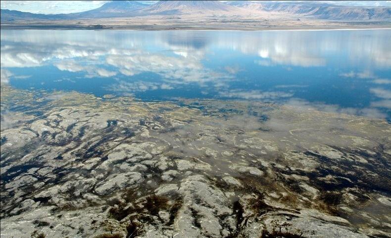 Фотография: Ошеломляющие виды озера Натрон №5 - BigPicture.ru