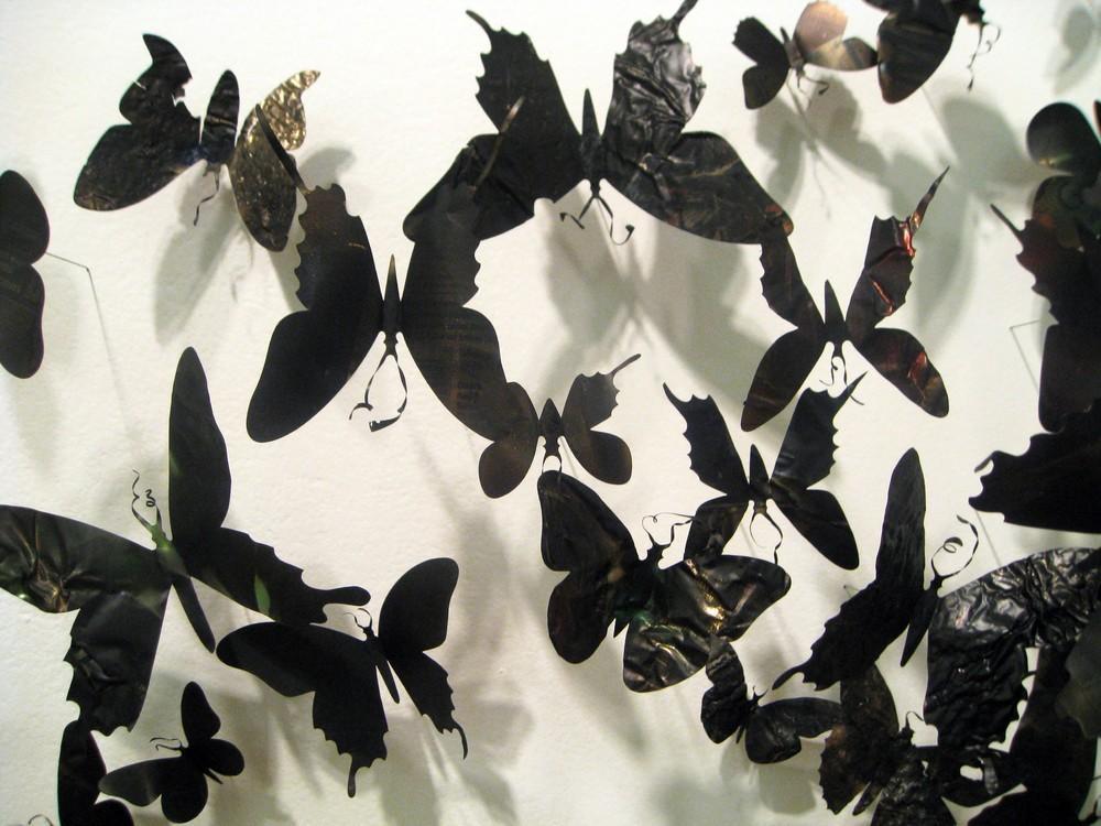 Фотография: Бабочки как искусство №11 - BigPicture.ru