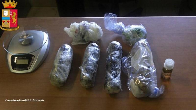 Фотография: Контрабанда наркотиков внутри... собак №11 - BigPicture.ru