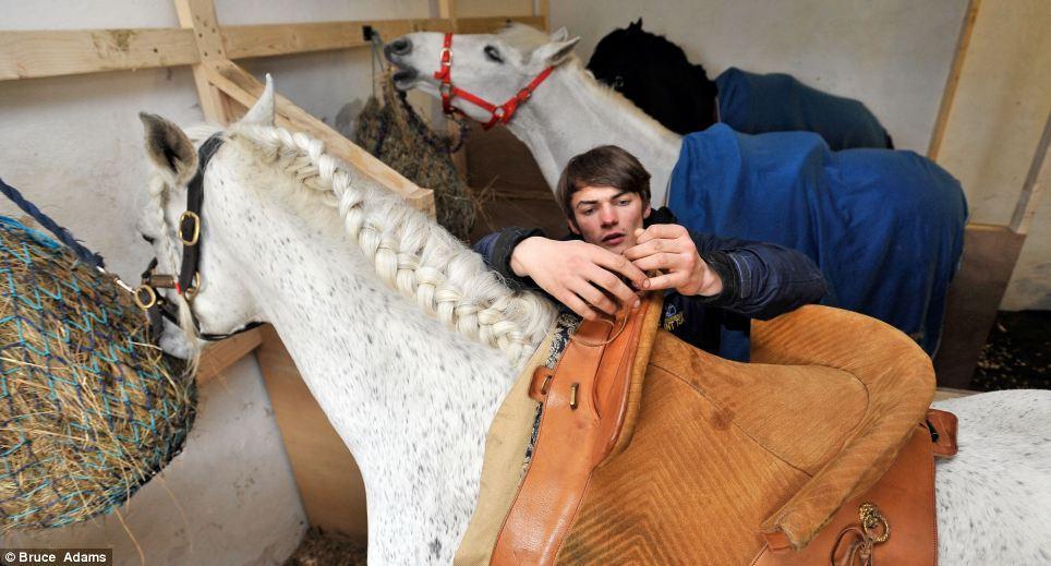 Фотография: Балетная школа для лошадей №13 - BigPicture.ru