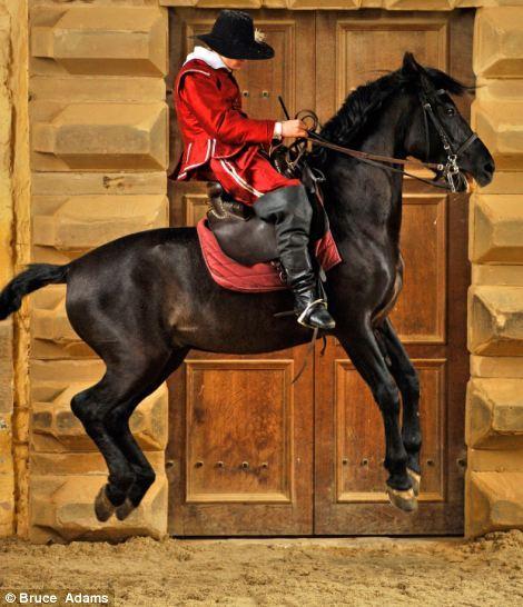 Фотография: Балетная школа для лошадей №10 - BigPicture.ru