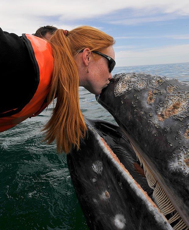 Фотография: Поцеловаться с китом №22 - BigPicture.ru