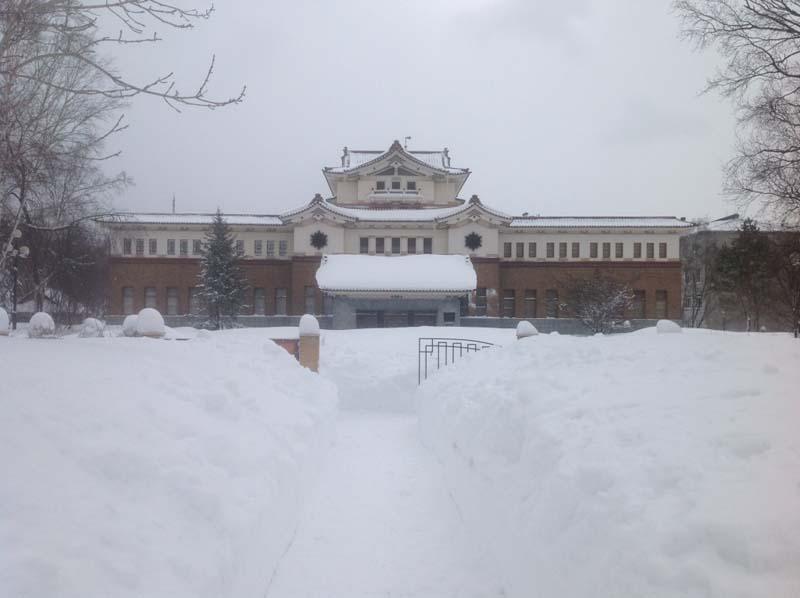 Фотография: Последствия сильнейшего снегопада на Сахалине №16 - BigPicture.ru