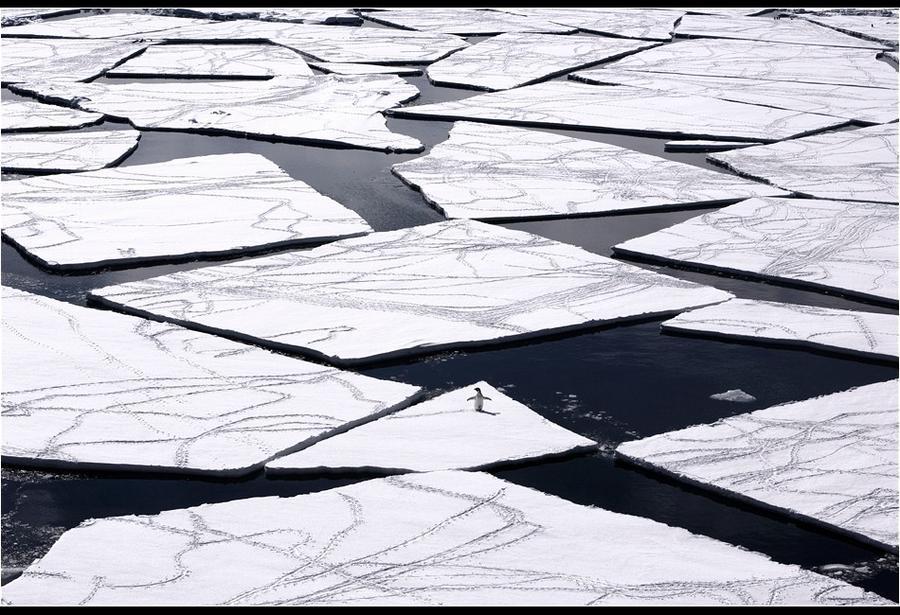 Фотография: Удивительные морозные фотографии Джона Веллера №2 - BigPicture.ru