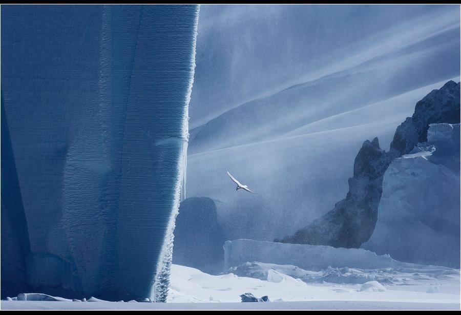 Фотография: Удивительные морозные фотографии Джона Веллера №11 - BigPicture.ru