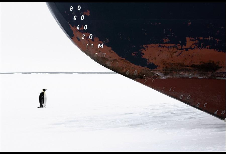 Фотография: Удивительные морозные фотографии Джона Веллера №12 - BigPicture.ru