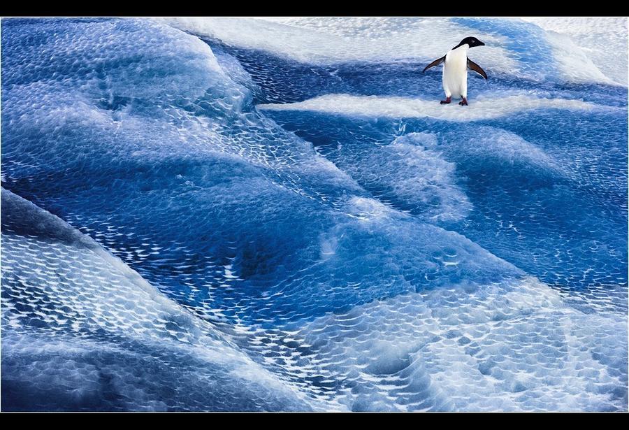 Фотография: Удивительные морозные фотографии Джона Веллера №21 - BigPicture.ru