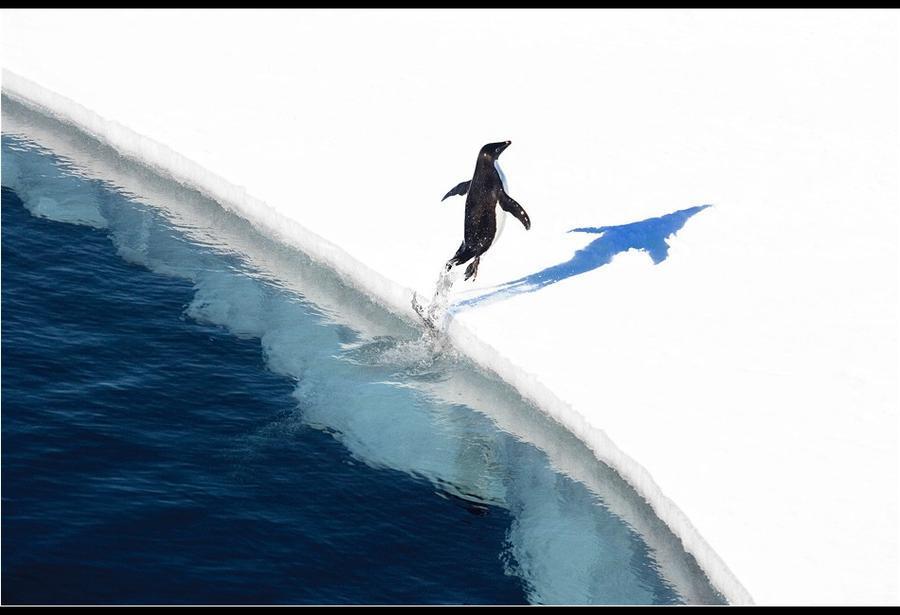 Фотография: Удивительные морозные фотографии Джона Веллера №25 - BigPicture.ru