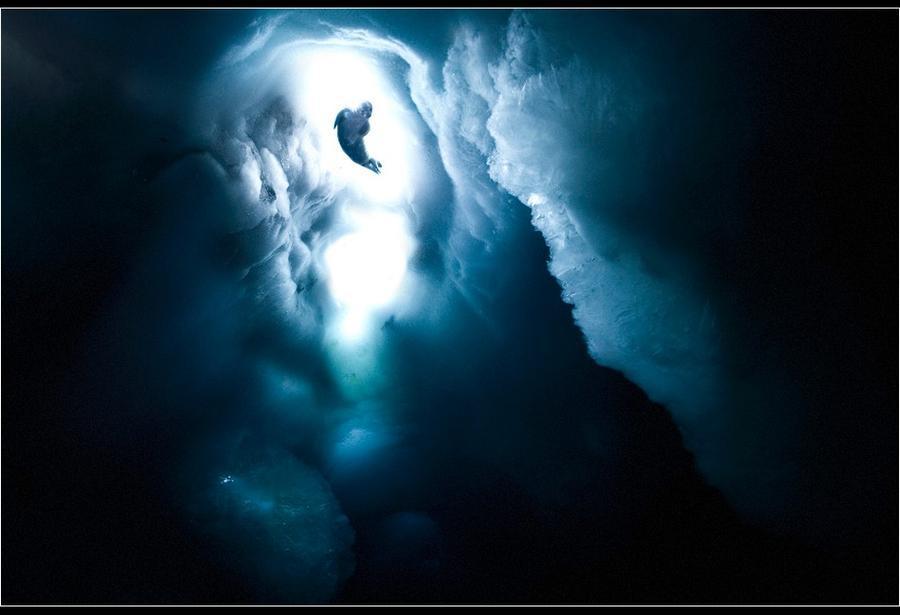 Фотография: Удивительные морозные фотографии Джона Веллера №27 - BigPicture.ru