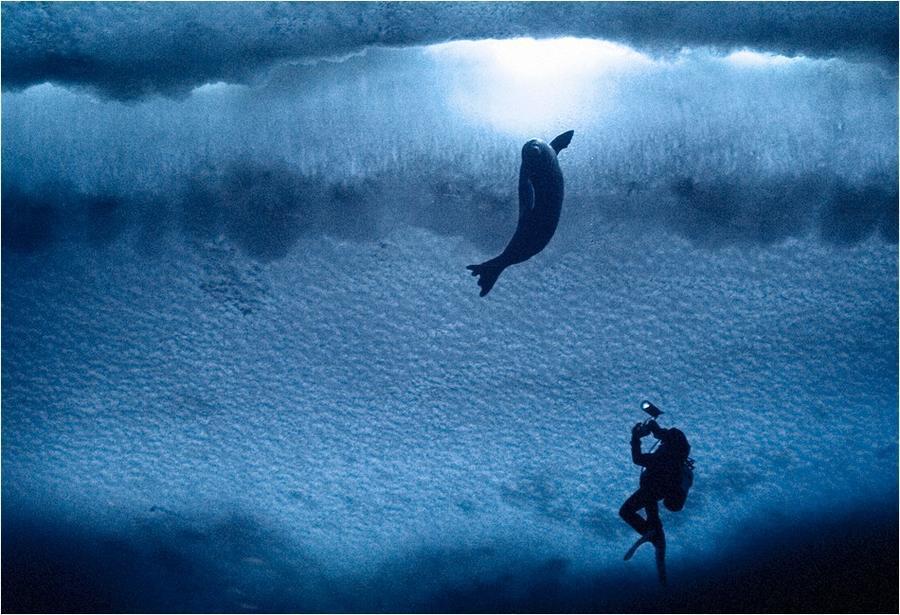 Фотография: Удивительные морозные фотографии Джона Веллера №35 - BigPicture.ru