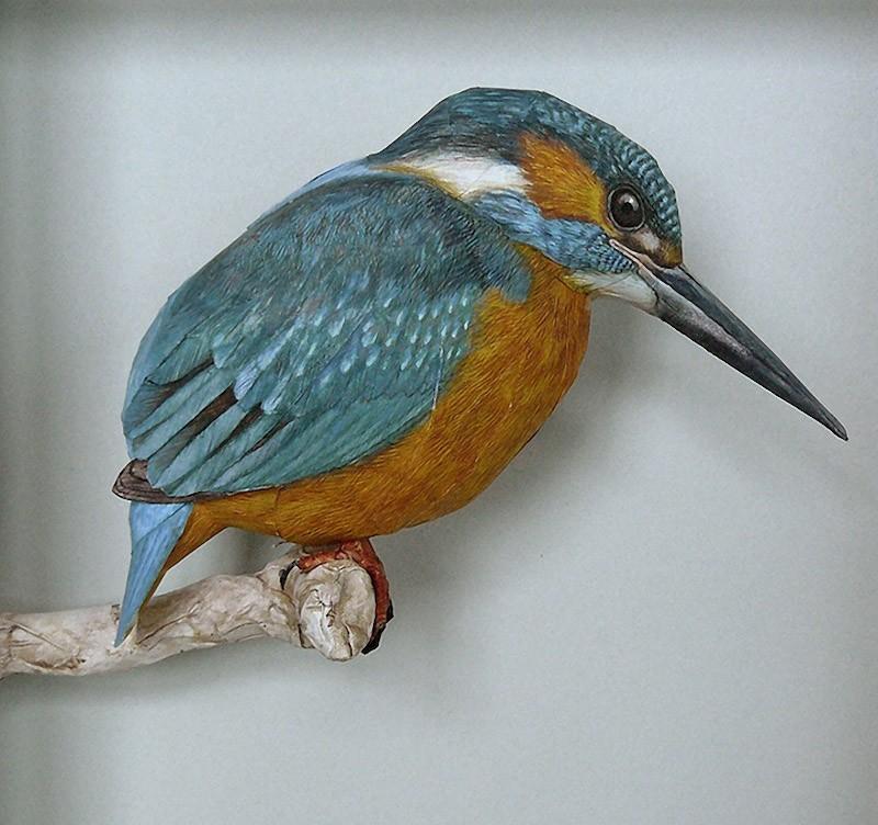 Фотография: Невероятно реалистичные бумажные 3D птицы №4 - BigPicture.ru