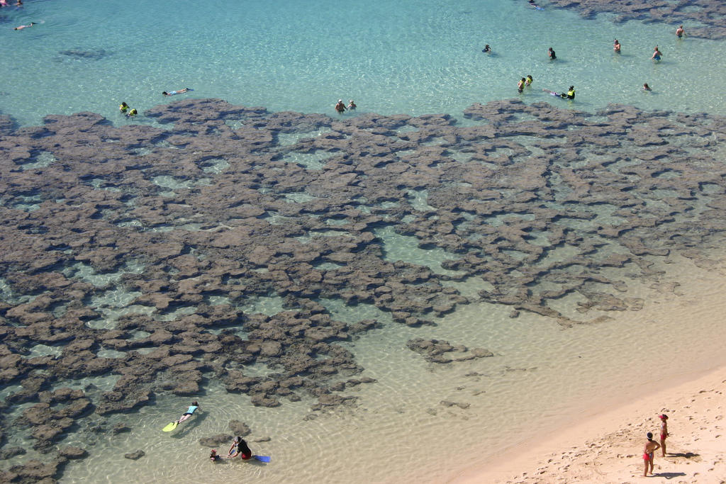 Земной рай — гавайский пляж внутри древнего кратера