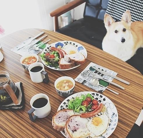 Фотография: Невероятно красивые завтраки в Инстаграм №19 - BigPicture.ru