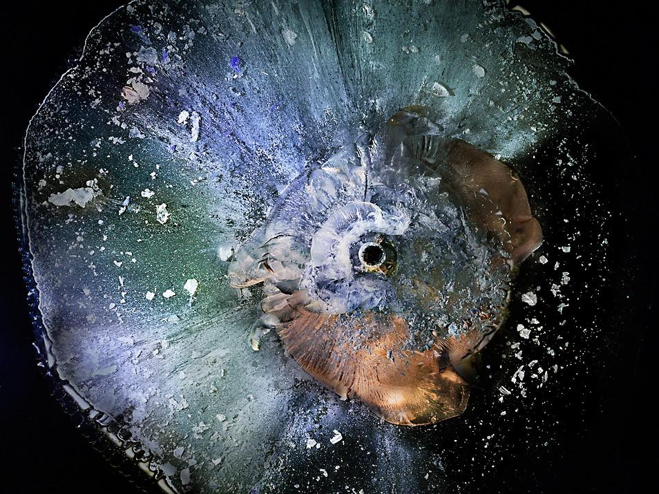 Фотография: Взрывающиеся галактики - как пуля разбивает органическое стекло №3 - BigPicture.ru