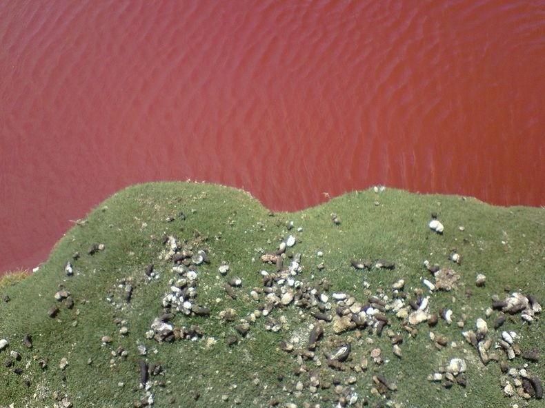 Фотография: Красная лагуна в Чили №2 - BigPicture.ru