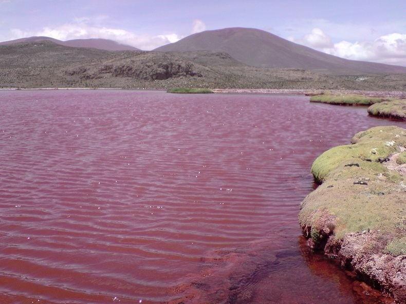 Фотография: Красная лагуна в Чили №4 - BigPicture.ru
