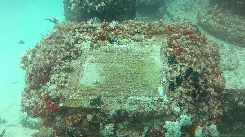 Фотография: Мемориал Нептуна: подводное кладбище у берегов Флориды №6 - BigPicture.ru