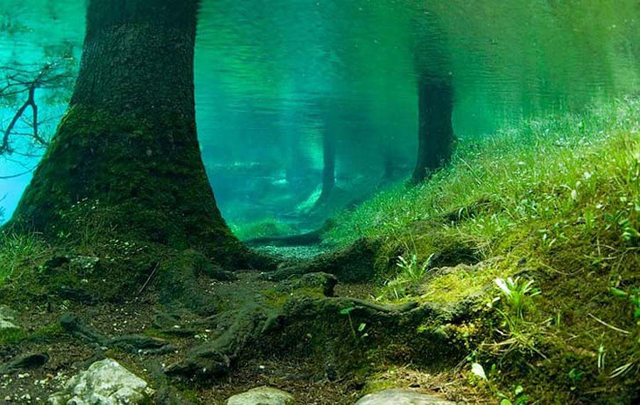 Фотография: Призрачный парк Зеленого озера №3 - BigPicture.ru
