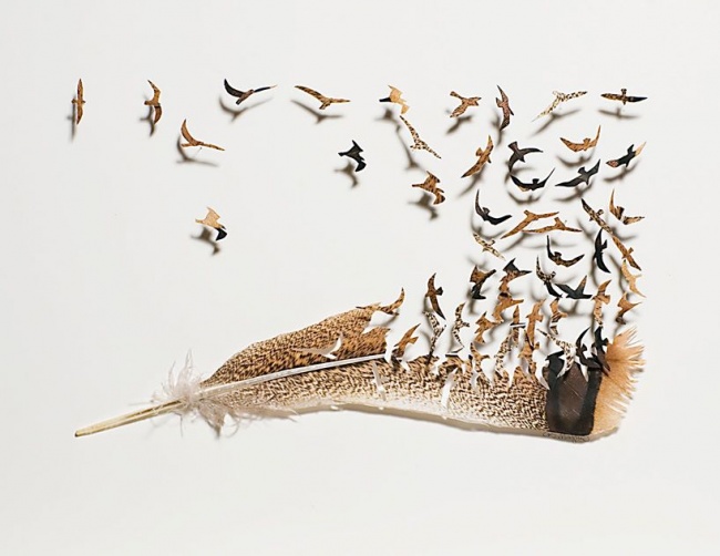 Bigpicture.ru Резьба по птичьим перьям — Крис Мейнард и его работы