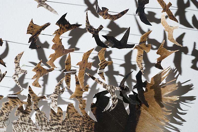 Bigpicture.ru Резьба по птичьим перьям — Крис Мейнард и его работы