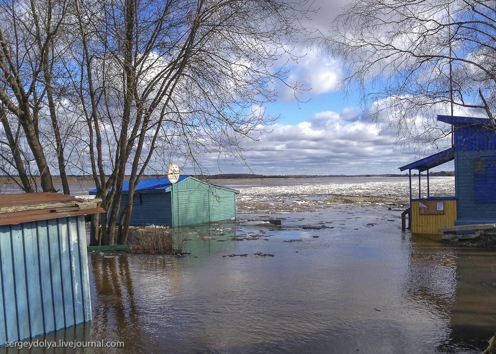 Фотография: Наводнение в Дубне №11 - BigPicture.ru