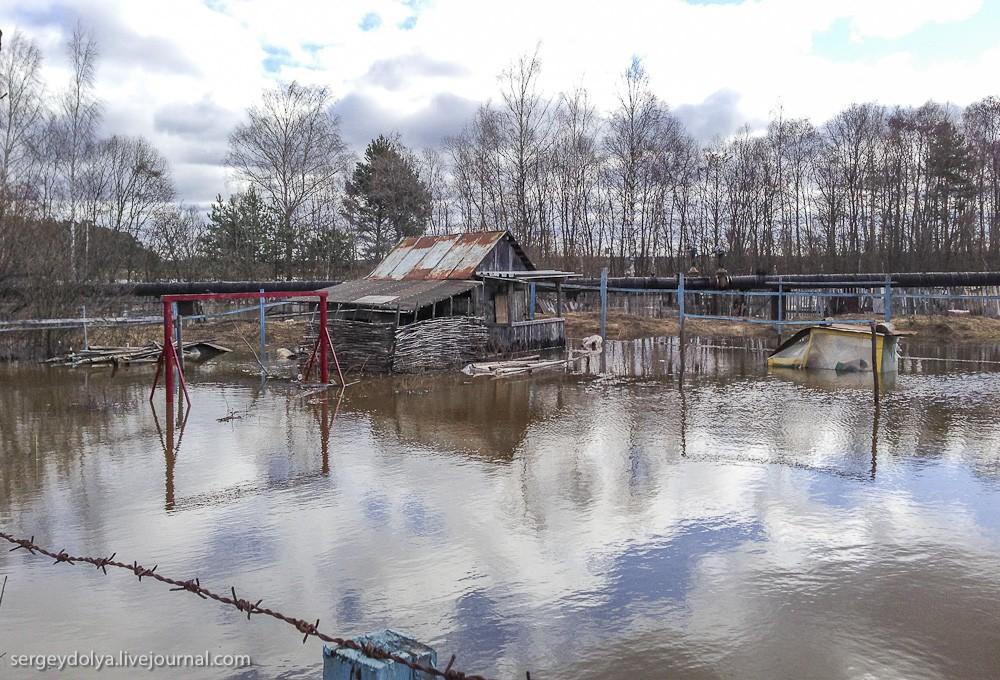 Фотография: Наводнение в Дубне №21 - BigPicture.ru