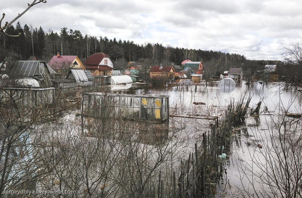 Фотография: Наводнение в Дубне №22 - BigPicture.ru