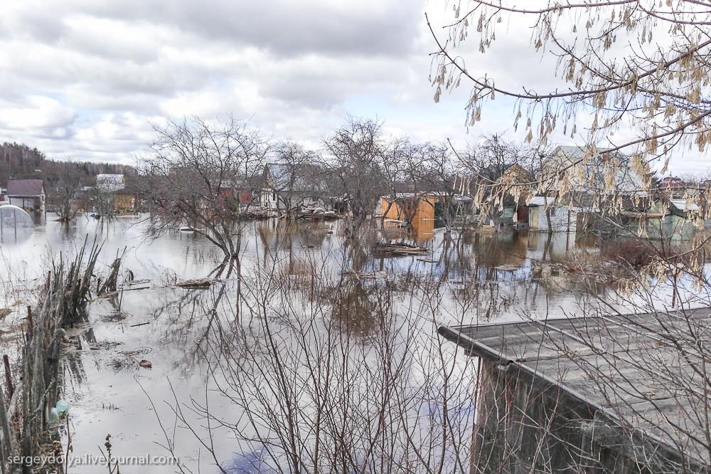 Фотография: Наводнение в Дубне №23 - BigPicture.ru