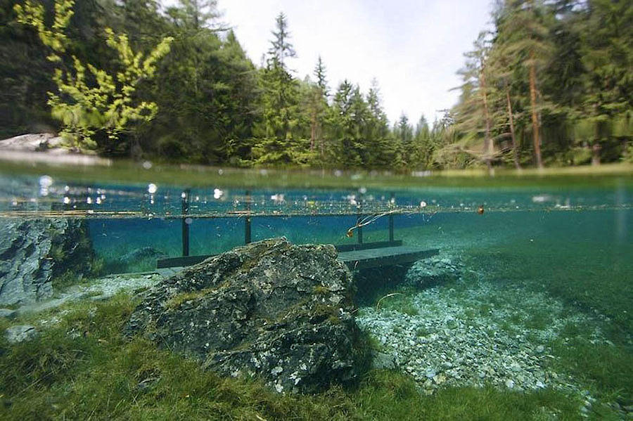 Фотография: Призрачный парк Зеленого озера №10 - BigPicture.ru