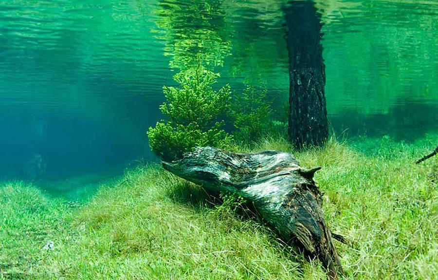 Фотография: Призрачный парк Зеленого озера №8 - BigPicture.ru