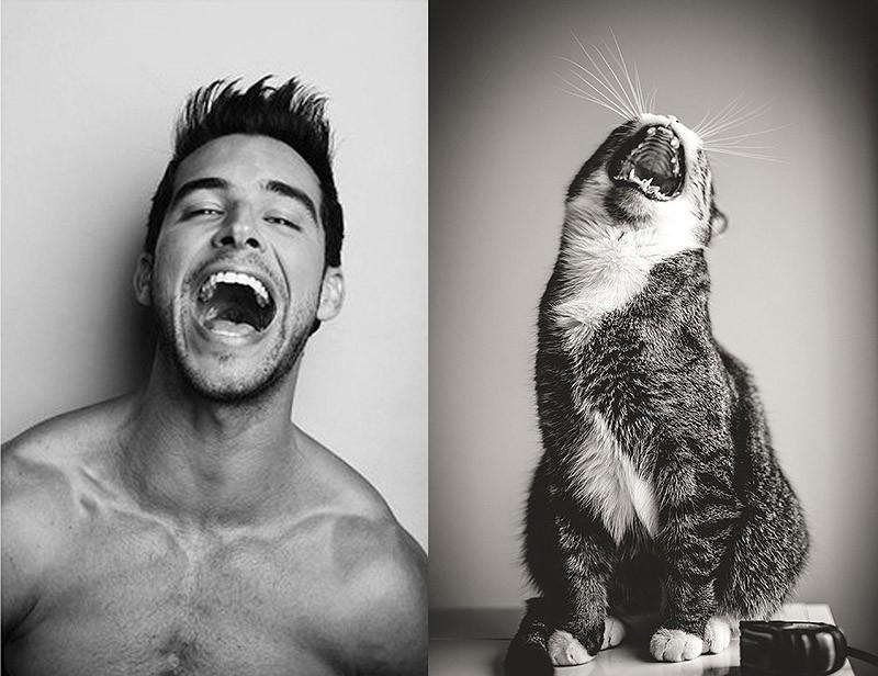 Фотография: Модели vs Коты №15 - BigPicture.ru