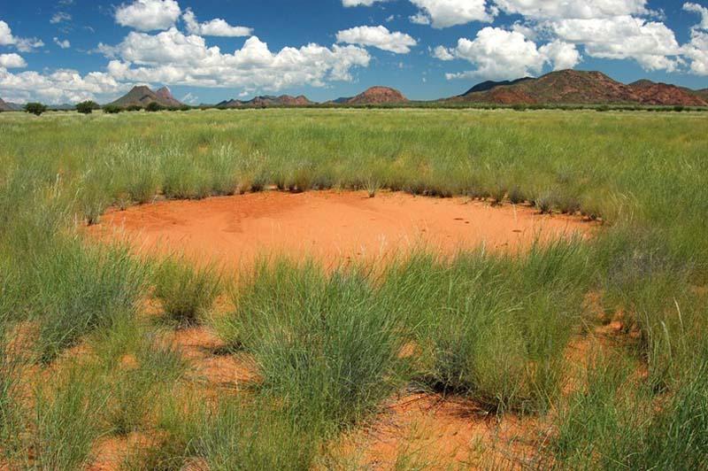 Фотография: Таинственные круги Намибии №8 - BigPicture.ru