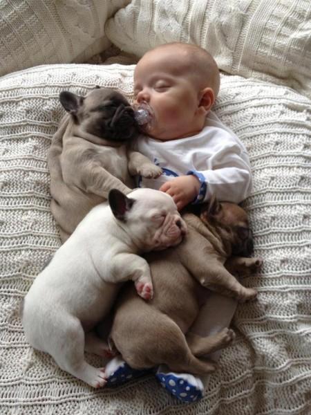 Фотография: Ребенок и щенки. Запредельной мимишности пост №11 - BigPicture.ru