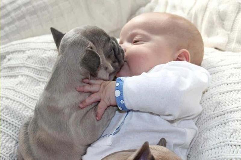 Фотография: Ребенок и щенки. Запредельной мимишности пост №3 - BigPicture.ru