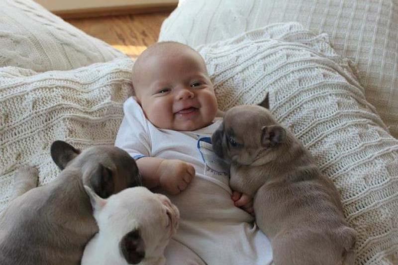 Фотография: Ребенок и щенки. Запредельной мимишности пост №4 - BigPicture.ru
