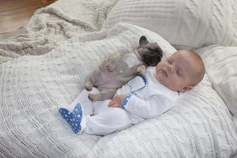 Фотография: Ребенок и щенки. Запредельной мимишности пост №10 - BigPicture.ru