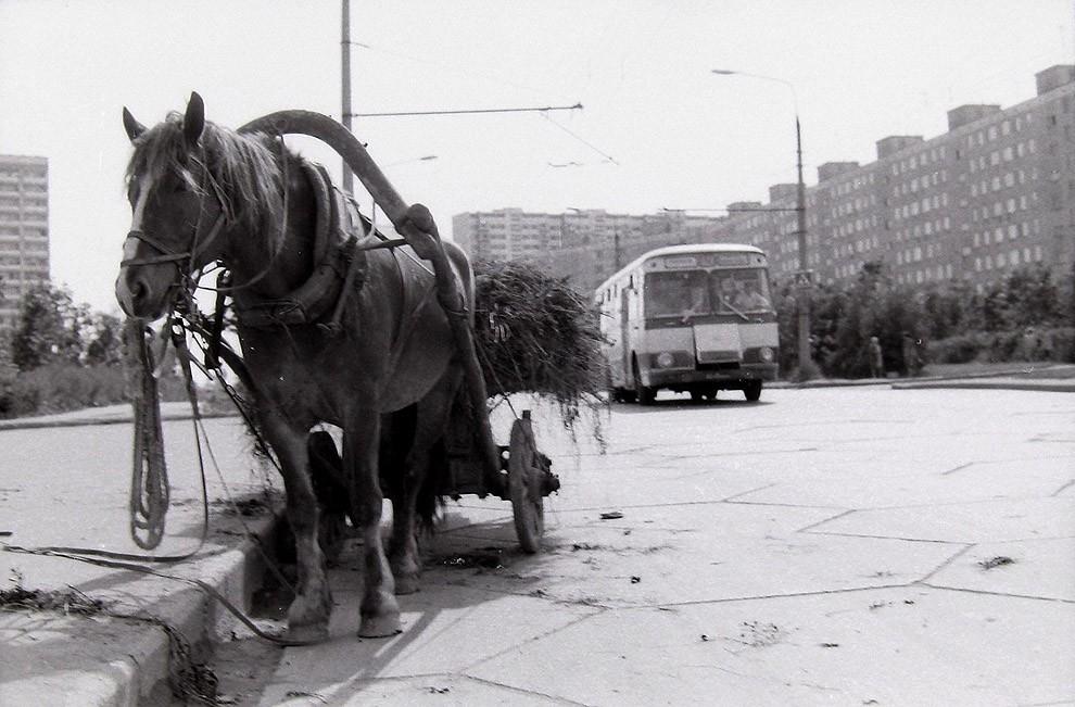 Фотография: Москва Юго-Западная в 1970-х годах №37 - BigPicture.ru