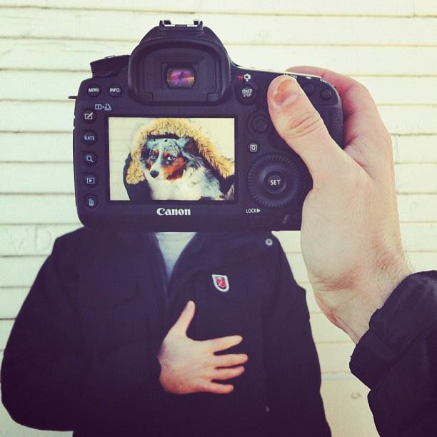 Фотография: Владельцы домашних животных и их питомцы в причудливом фотопроекте #petheadz №18 - BigPicture.ru