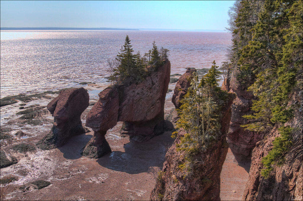 Фотография: Природное чудо - скалы Хоупвелл в заливе Фанди №12 - BigPicture.ru