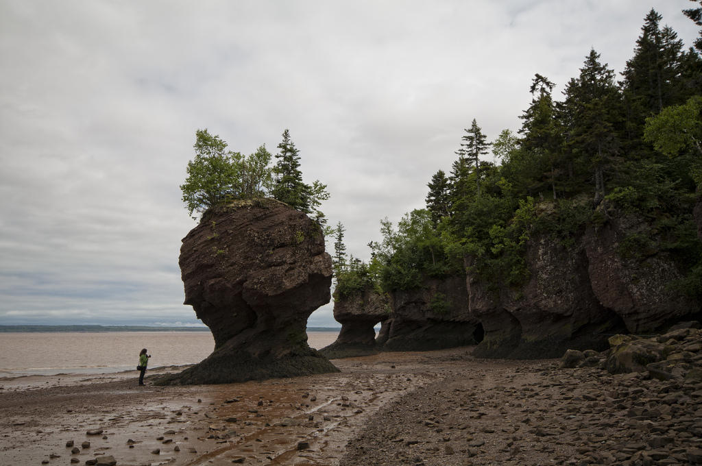 Фотография: Природное чудо - скалы Хоупвелл в заливе Фанди №9 - BigPicture.ru