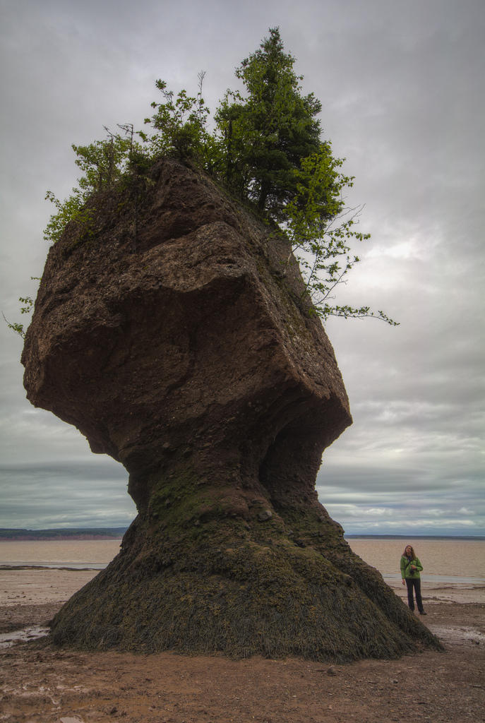 Фотография: Природное чудо - скалы Хоупвелл в заливе Фанди №8 - BigPicture.ru