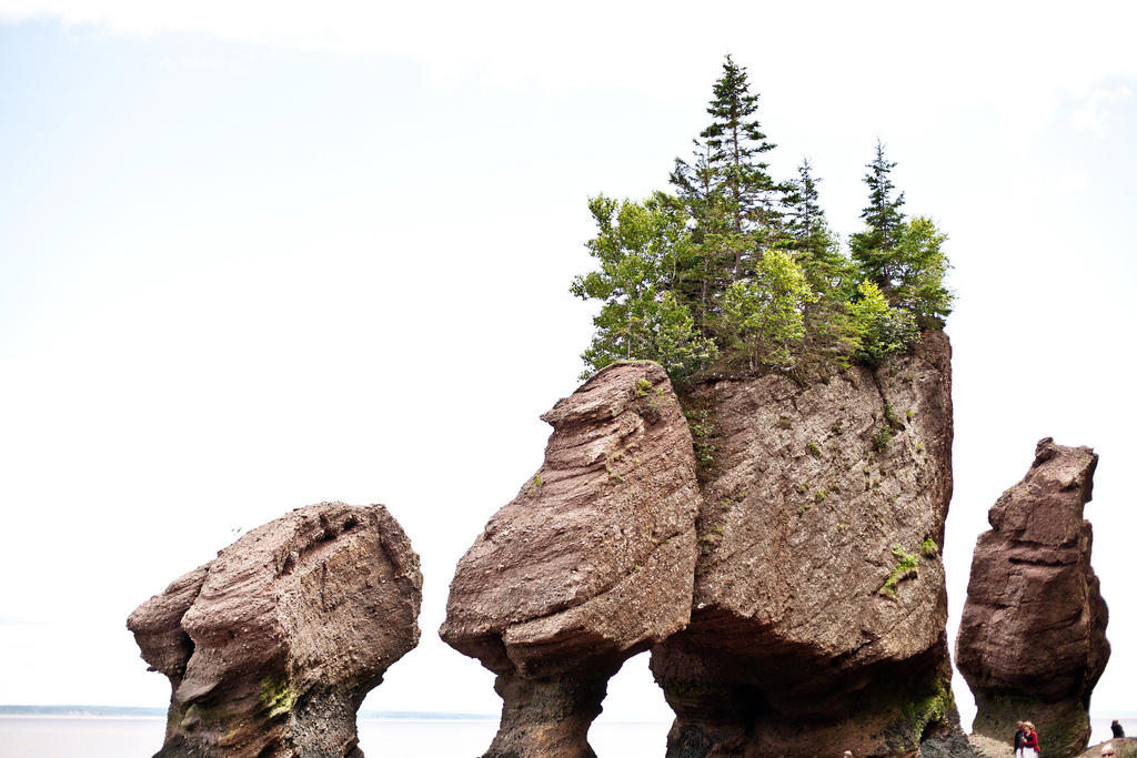 Фотография: Природное чудо - скалы Хоупвелл в заливе Фанди №7 - BigPicture.ru
